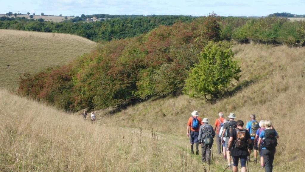 A group of men and women walk down a grass track towards a copse of trees in the rolling hills of the Yorkshire Wolds