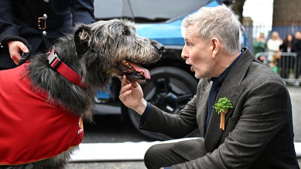 Patrick Kielty, Grand Master of the parade meets Irish wolfhound Ruari from the Dublin fire service as