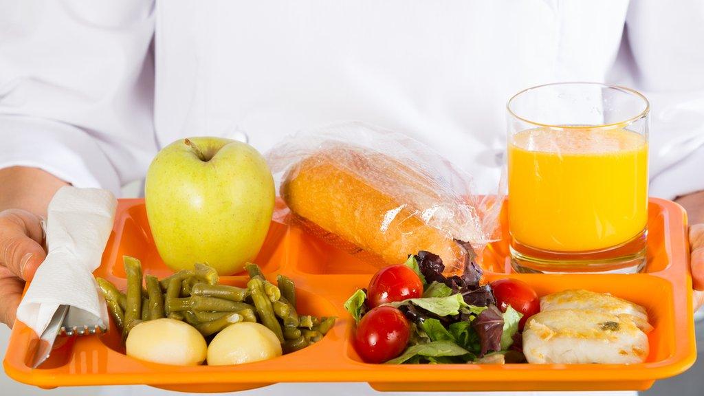 Tray of school food