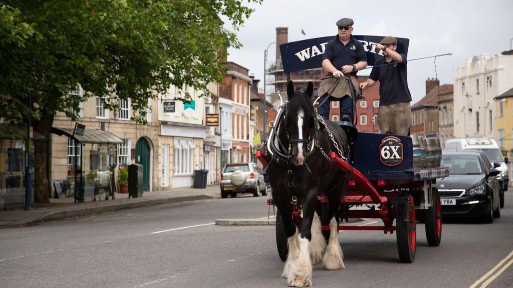 Black shire horse pulling a Wadworth cart walking along a historic street with a leafy green tree to the left.