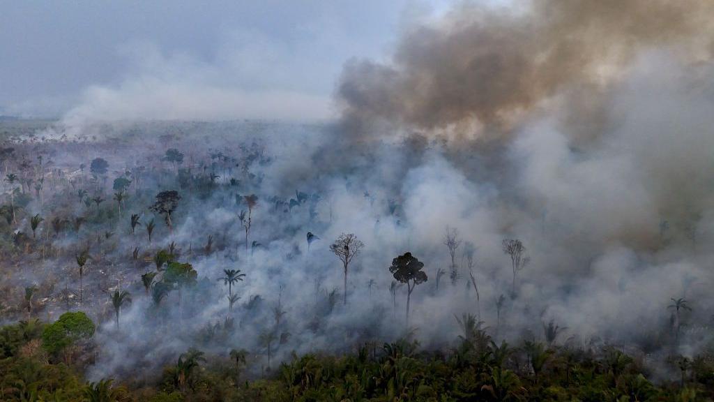 A fire in the Amazon rainforest 