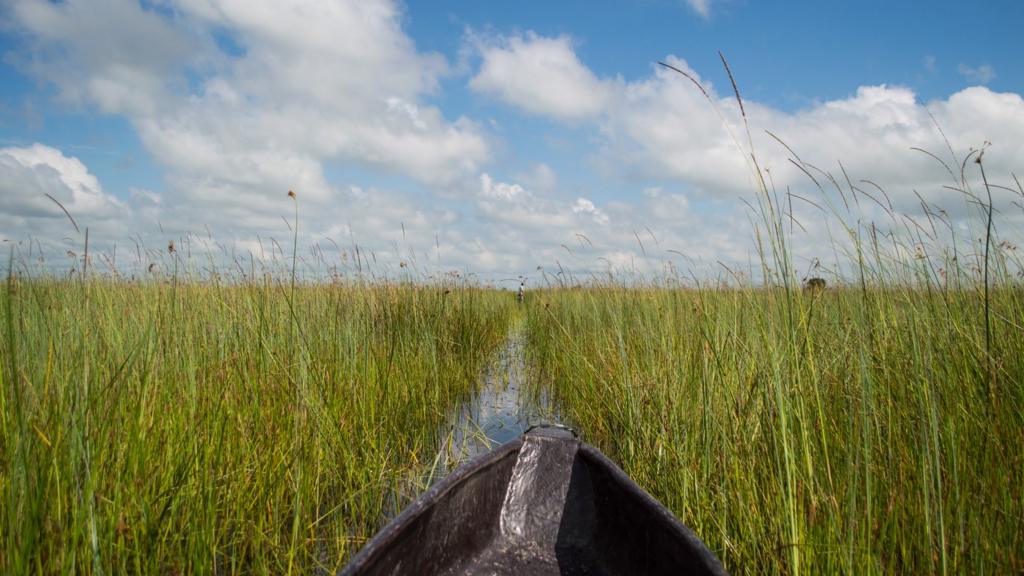 Exploring the canals of the Okavango Delta in Botswana aboard a Mokoro (traditional canoe)