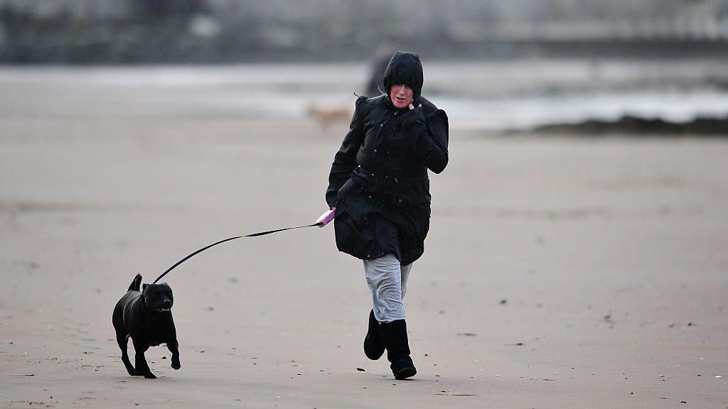 person walking on a beach with their dog with windy conditions