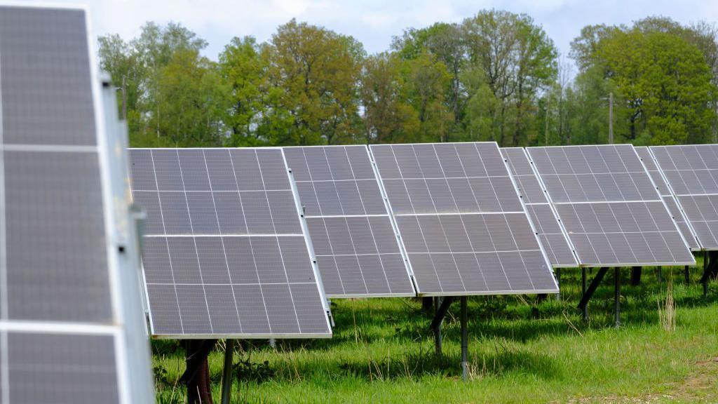 solar farm panels