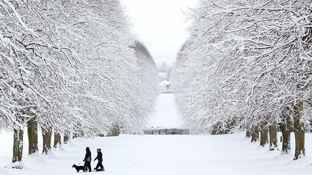 Snow covers the trees and grass as two people walk a dog across the estate. Two rows of trees are on each side of the the photo.