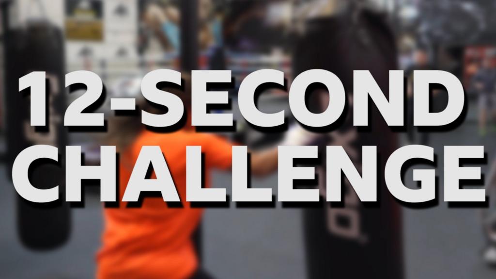 Boxing punchbag challenge How many punches can you throw in 12 seconds