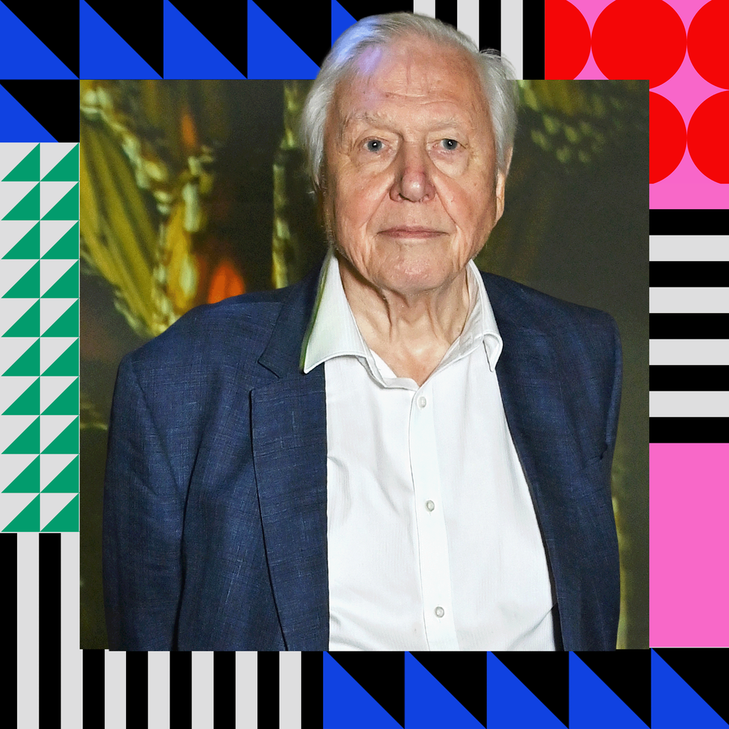 David Attenborough