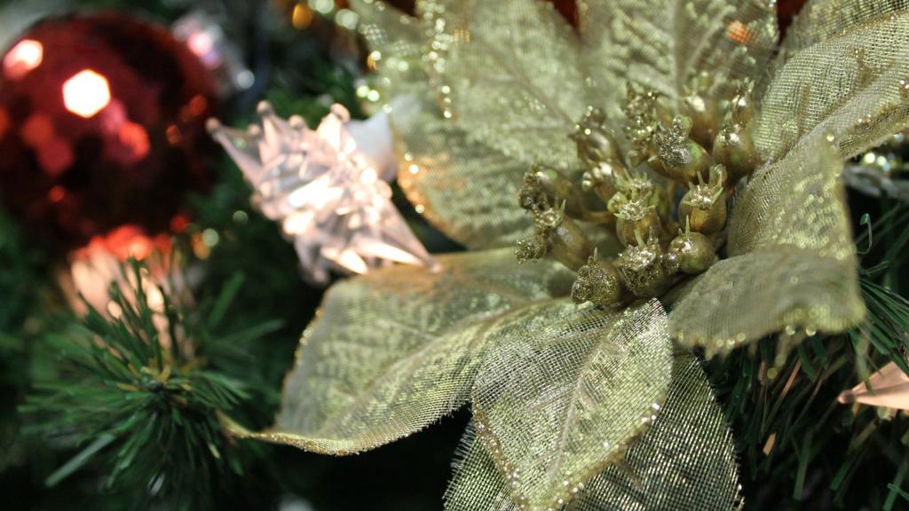 BBC Local Live Devon and Cornwall for Thursday 24 December BBC News