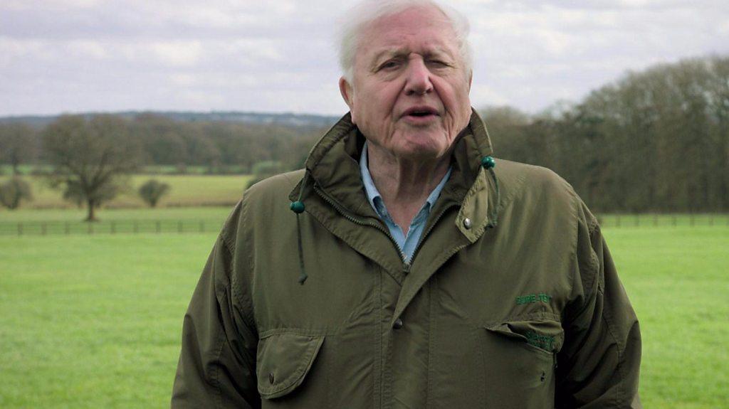 Sir David Attenborough