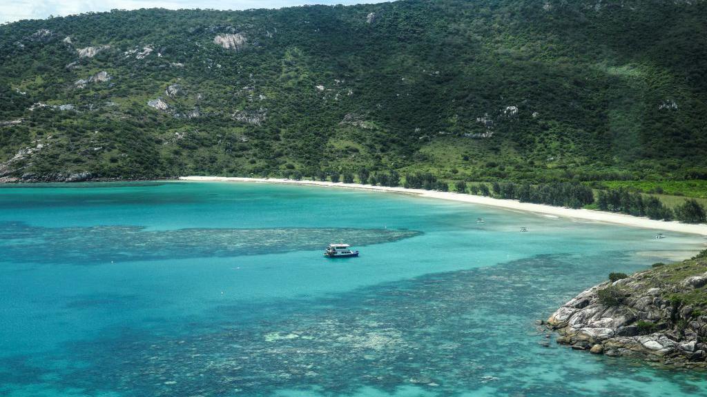 A boat in a bay with a tree-covered hill in the background