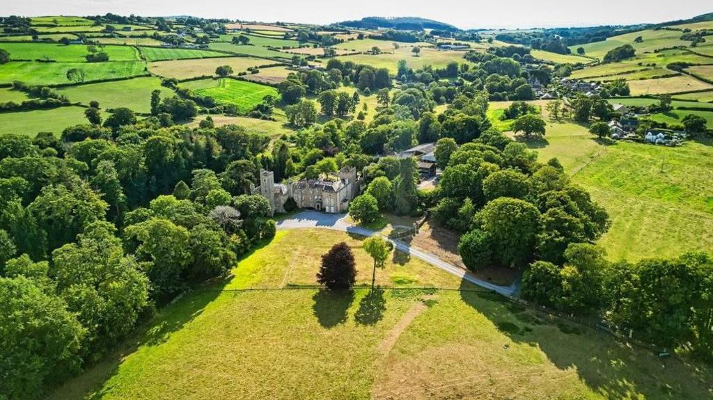 An aerial photo of the castle with other buildings seen behind it. It has a sweeping driveway from the right to the front of the property and is surrounded by fields and trees. A number of other homes can be seen in the distance.