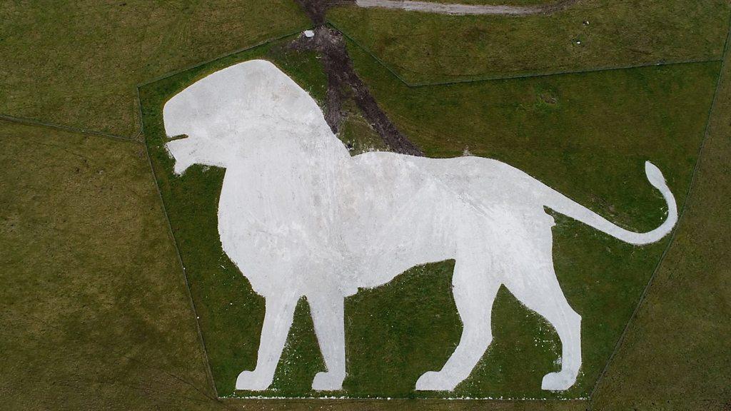 Whipsnade hillside lion