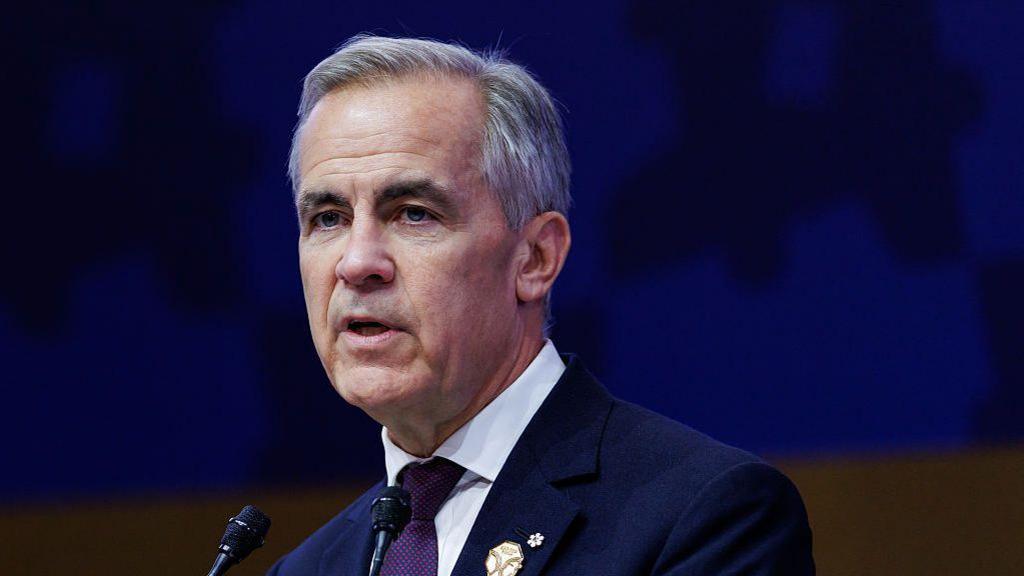 Mark Carney in a dark suit shown from the shoulders up. Two microphones are in front of him.