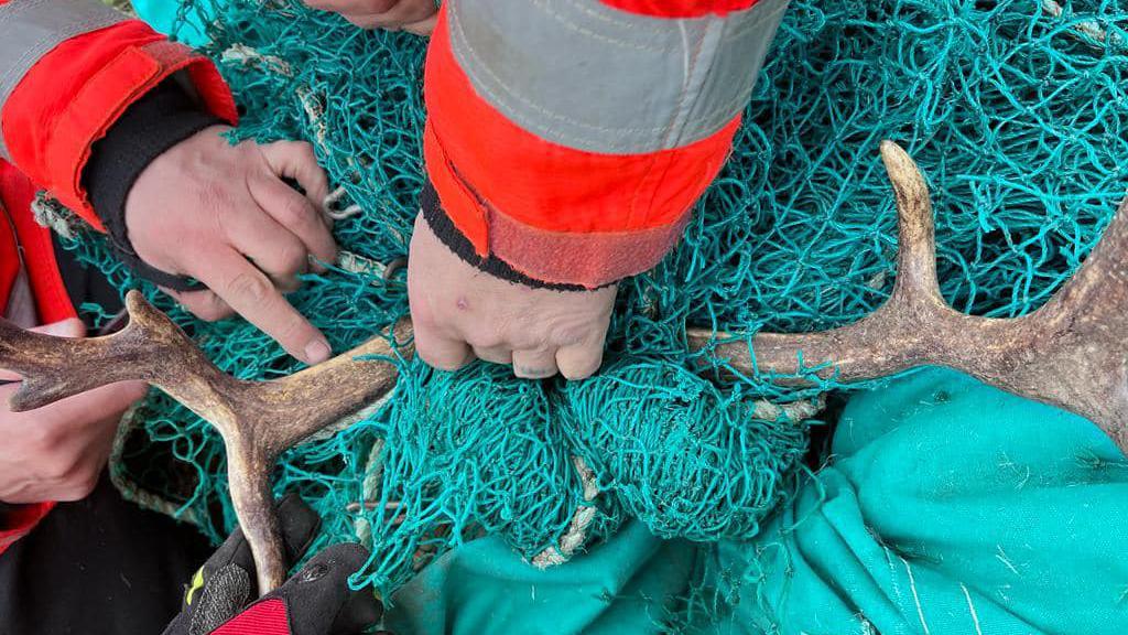 Firefighters working to free a stuck stag in Heydon, Cambridgeshire