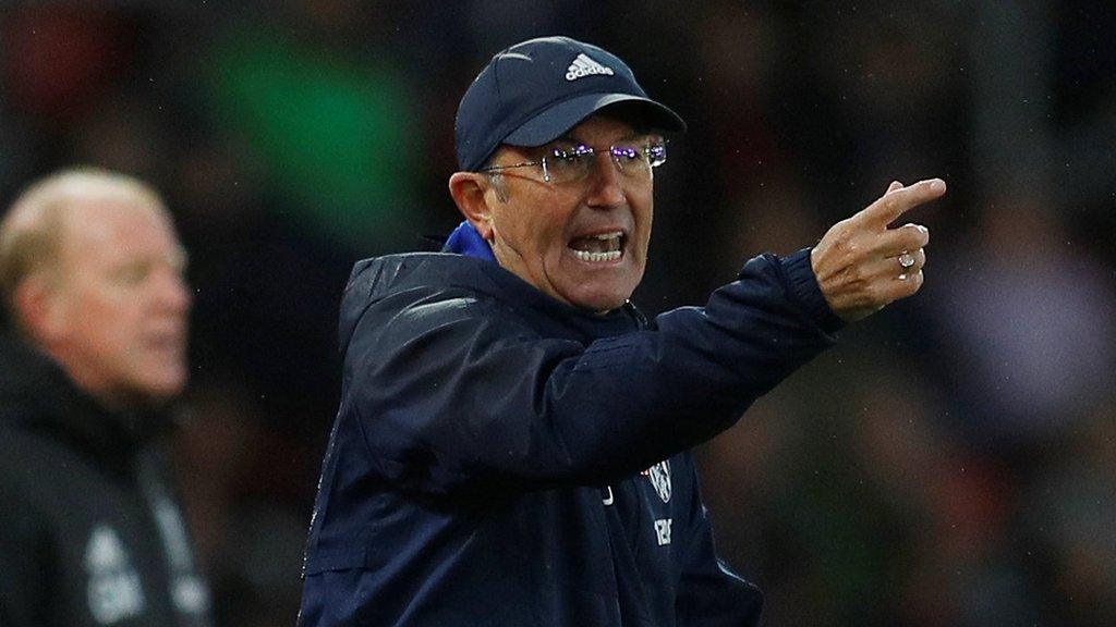 Albion head coach Tony Pulis has won 36 of his 118 matches in charge since being appointed in January 2015