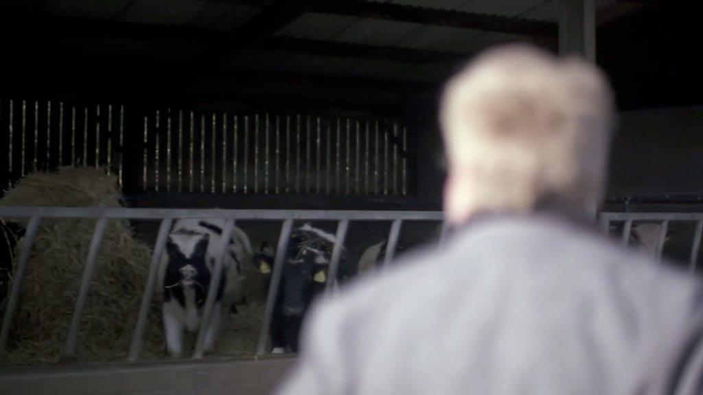 Trafficked man at a farm