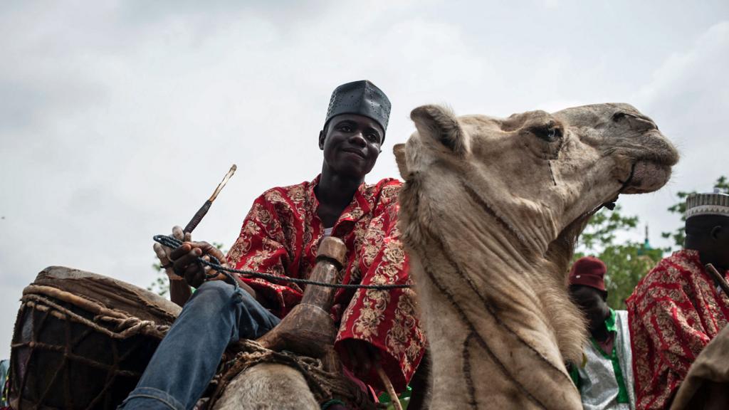 A man on a camel in Kano, northern Nigeria