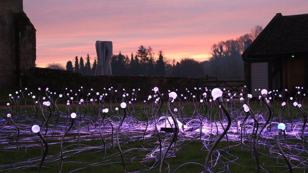 Moon Blooms II