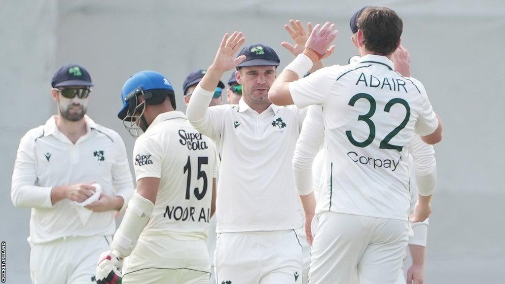 Ireland players celebrate a wicket