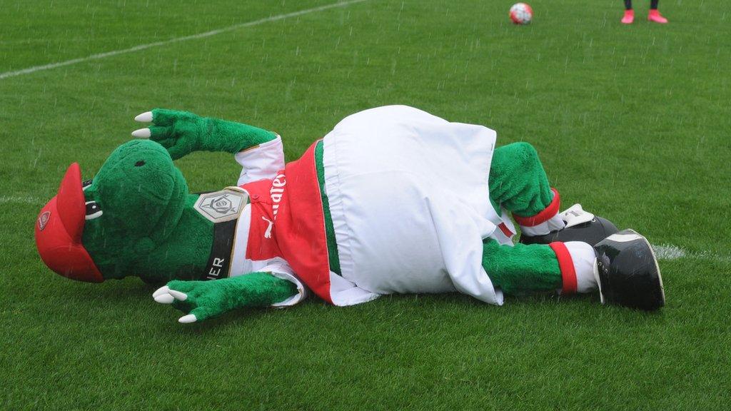 Gunnersaurus