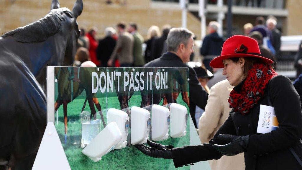 hand sanitiser at Cheltenham races