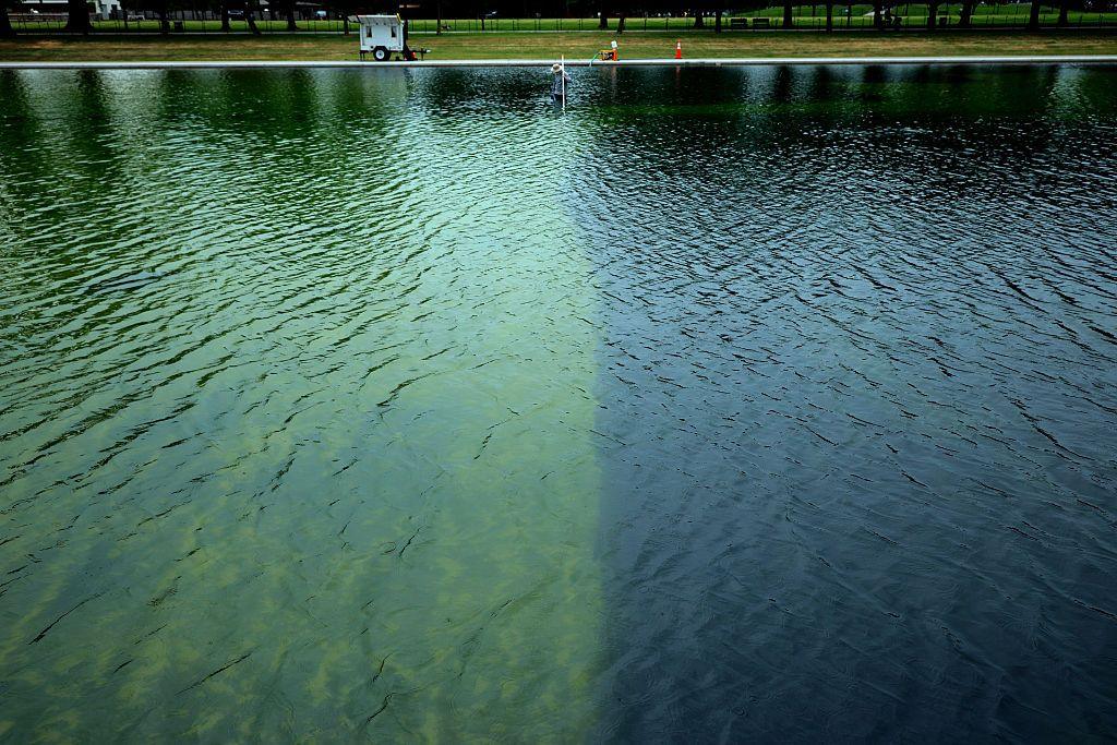 A worker stands in the pool which is greener on one side and bluer on the other