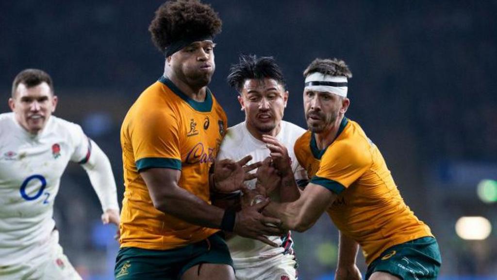 Inghilterra affronterà i Wallabies e gli All Blacks in autunno