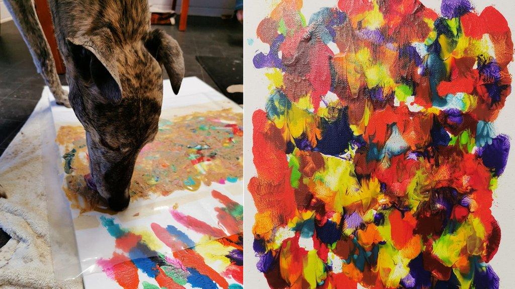 Dog paintings