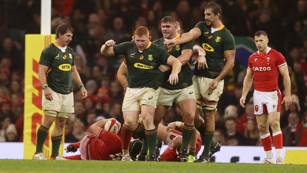 Wales v South Africa