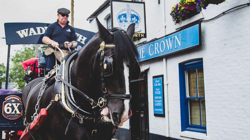 A harnessed black shire horse pulling a Wadworth cart in front of The Crown pub