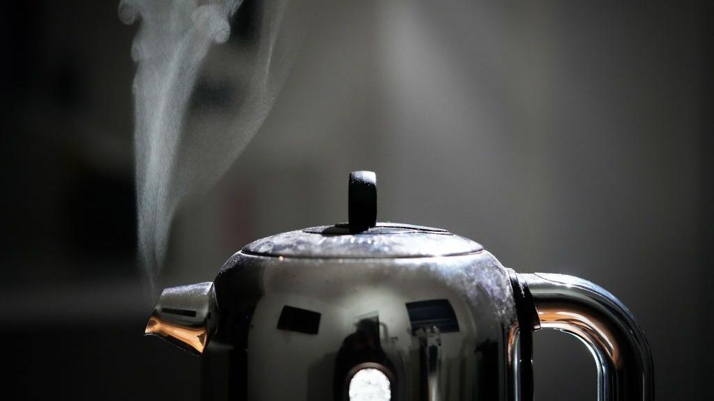 A domestic electric kettle emits steam.