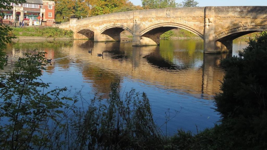 Abbey Park Leicester, autumn