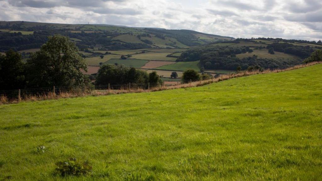 Rolling hills in the Herefordshire countryside. There is green grass for miles and a couple of bits of brown land.