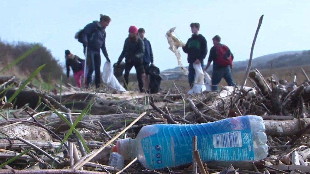 Beach clean in progress