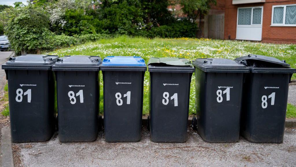 Six black wheelie bins are lined up on a path, next to a grass area, with a house in the background. They all have a white number 81 sticker on them, with a decal that reads: "Birmingham City Council"