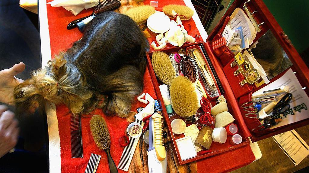 A dog is sitting on a table covered with a red and white table cloth. The table is filled with brushes, combs and a red box filled with pens and hair accessories. 