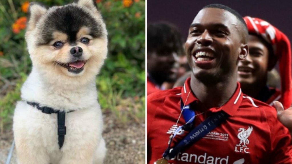 Dog Lucci and his owner Daniel Sturridge