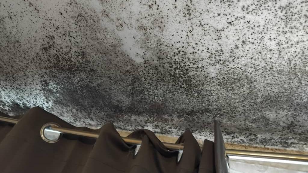 Mould on the ceiling of one of the bedrooms