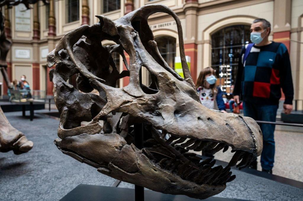 Visitors check out a Brachiosaurus skull at Berlin's Natural History museum