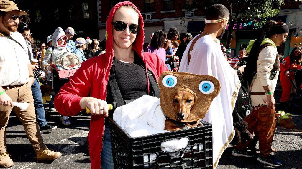 dog dressed up as e.t.