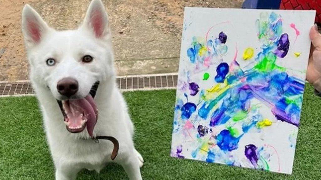 dog-next-to-artwork.