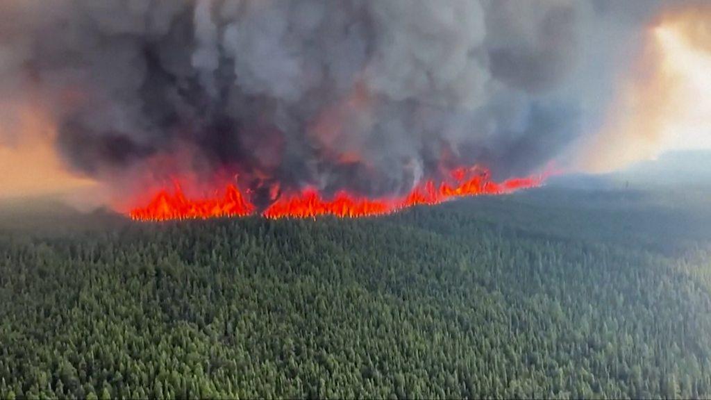 Wildfire burning on grass