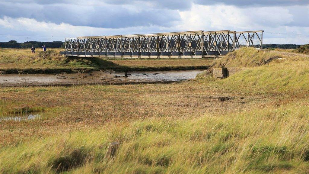 uk-wetland