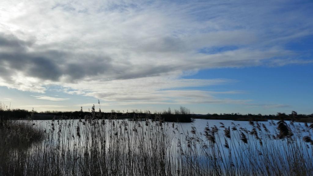 Fen Drayton lakes