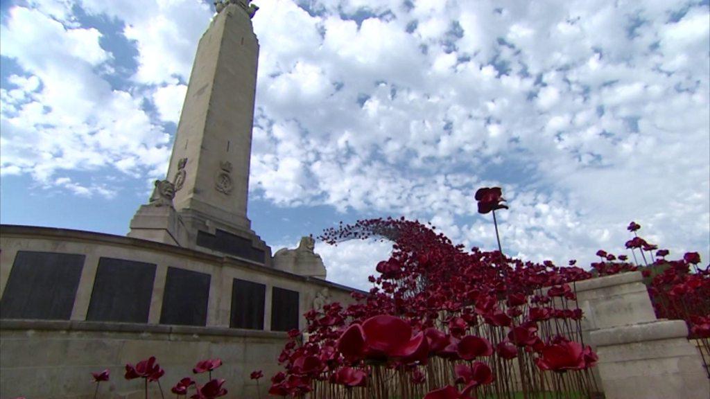 Poppies