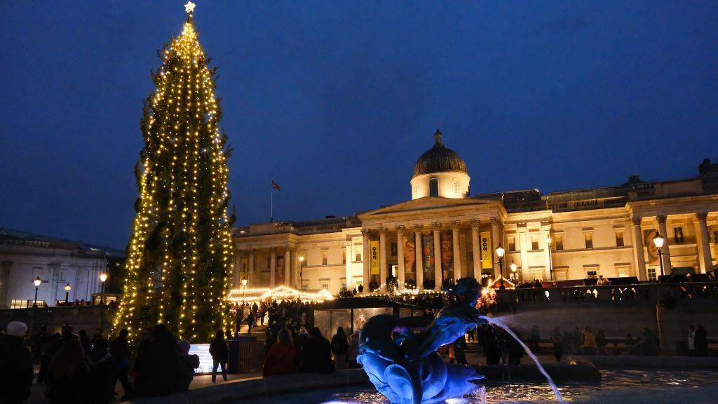 Christmas tree in London's Trafalgar Square. 