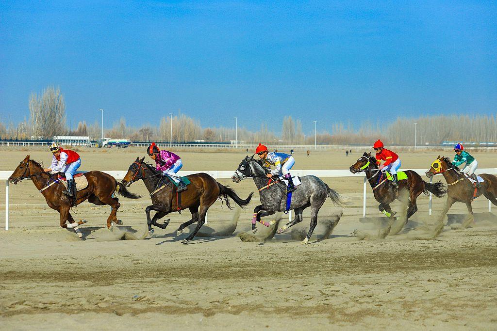 A group of jockeys race across a sandy track, horses kicking up dust as they sprint side by side under a clear blue sky, with bare trees and distant structures in the background.