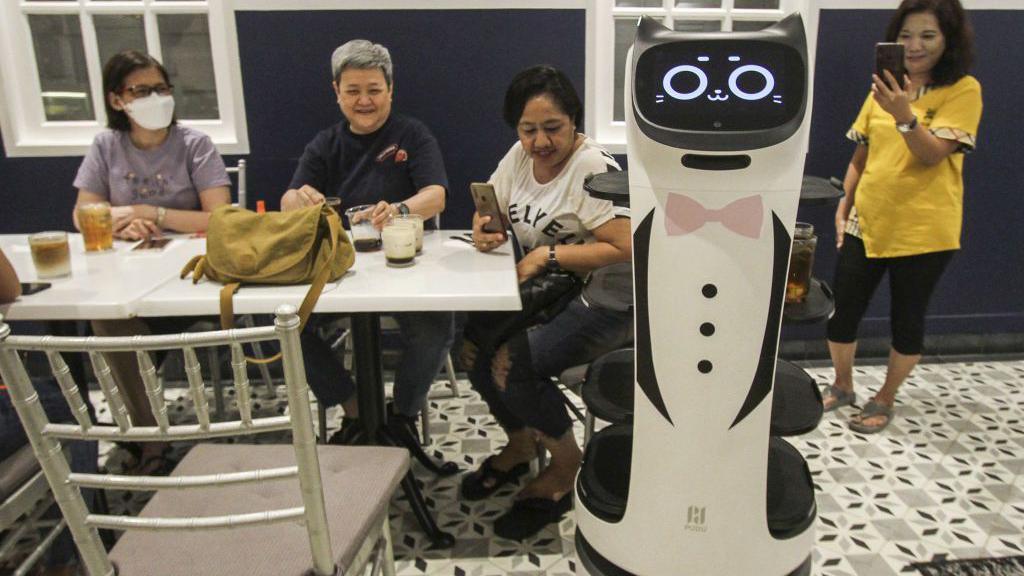 cat waiter robot