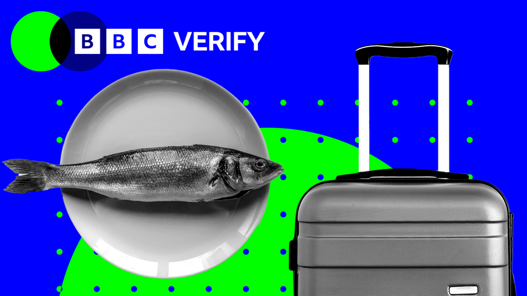 A picture showing a fish on a plate on the left hand side and a suitcase on the right, on a blue and green background, with "BBC Verify" logo in the top left hand side corner.