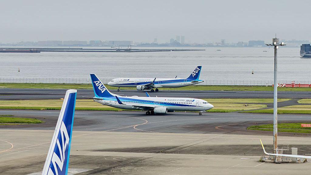 Two blue and white planes, with the letters ANA printed on their tails, facing opposite directions on the tarmac of an airport.